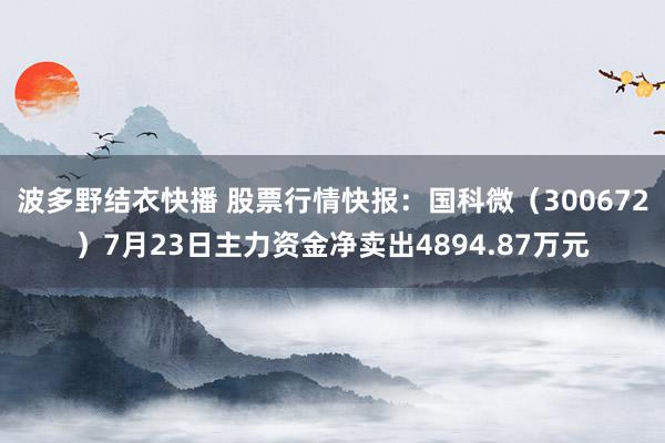 波多野结衣快播 股票行情快报：国科微（300672）7月23日主力资金净卖出4894.87万元