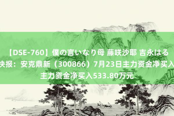 【DSE-760】僕の言いなり母 藤咲沙耶 吉永はるか 股票行情快报：安克鼎新（300866）7月23日主力资金净买入533.80万元