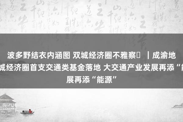 波多野结衣内涵图 双城经济圈不雅察㊱｜成渝地区双城经济圈首支交通类基金落地 大交通产业发展再添“能源”