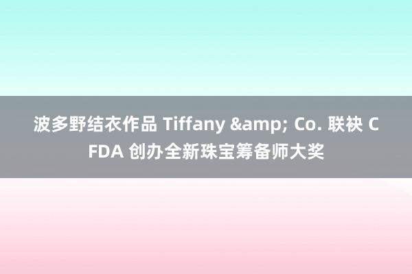 波多野结衣作品 Tiffany & Co. 联袂 CFDA 创办全新珠宝筹备师大奖