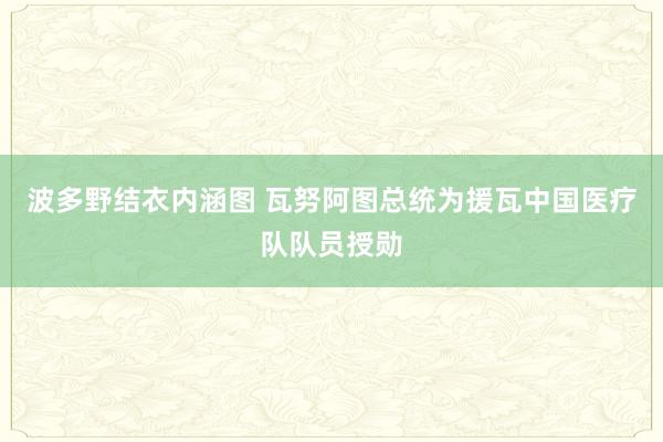 波多野结衣内涵图 瓦努阿图总统为援瓦中国医疗队队员授勋