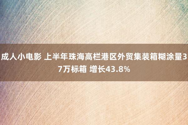 成人小电影 上半年珠海高栏港区外贸集装箱糊涂量37万标箱 增长43.8%