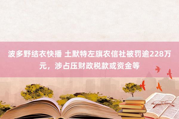 波多野结衣快播 土默特左旗农信社被罚逾228万元，涉占压财政税款或资金等