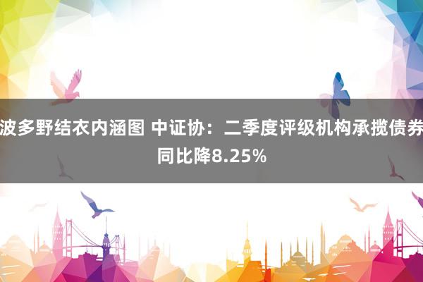 波多野结衣内涵图 中证协：二季度评级机构承揽债券同比降8.25%