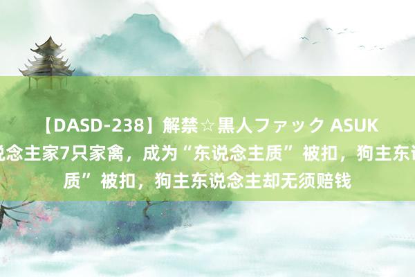 【DASD-238】解禁☆黒人ファック ASUKA 哈士奇咬死东说念主家7只家禽，成为“东说念主质” 被扣，狗主东说念主却无须赔钱