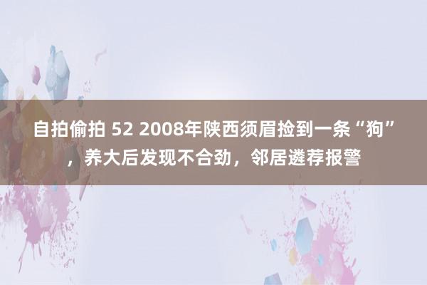 自拍偷拍 52 2008年陕西须眉捡到一条“狗”，养大后发现不合劲，邻居遴荐报警