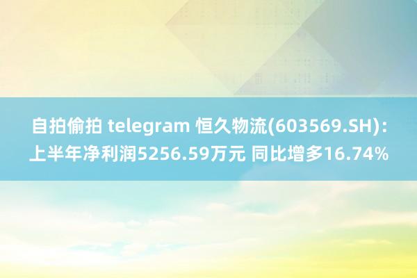 自拍偷拍 telegram 恒久物流(603569.SH)：上半年净利润5256.59万元 同比增多16.74%