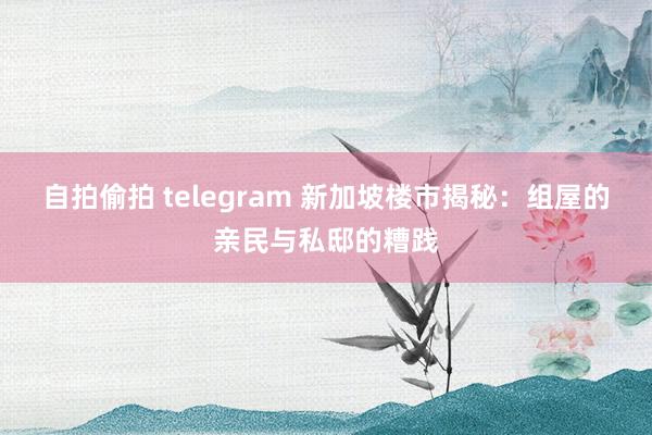 自拍偷拍 telegram 新加坡楼市揭秘：组屋的亲民与私邸的糟践